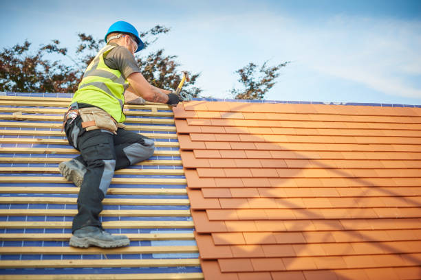 Best Roofing for New Construction  in Pierson, FL