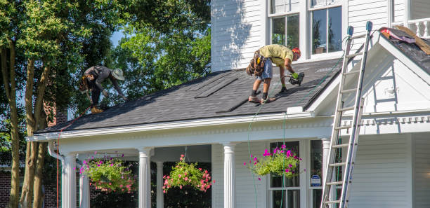 Best Chimney Flashing Repair  in Pierson, FL